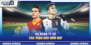 Dự Đoán Tỷ Số Các Trận Đấu Hôm Nay