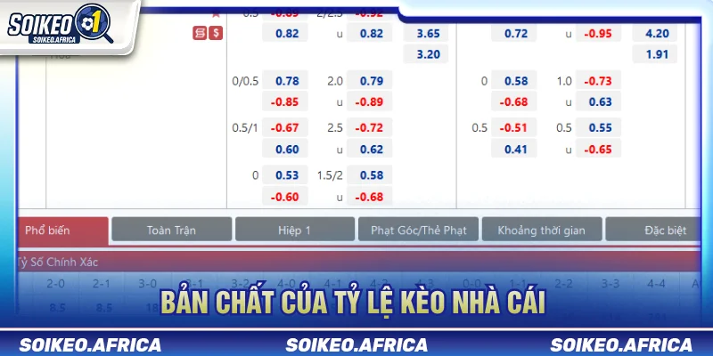 Tỷ Lệ Kèo Nhà Cái - Cách Đọc Và Phân Tích Kèo Tỷ lệ kèo nhà cái có cơ chế tính như thế nào